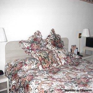 Travelers Inn And Suites South Lake Tahoe Bilik gambar